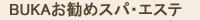�o�����E�X�p�E�G�X�e���